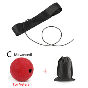 WorthWhile Kick Boxing Reflex Ball Head Band Fighting