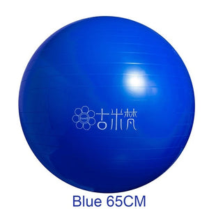 Sports Yoga Balls Bola Pilates / Fitball Exercise  Workout / Massage 55cm 65cm