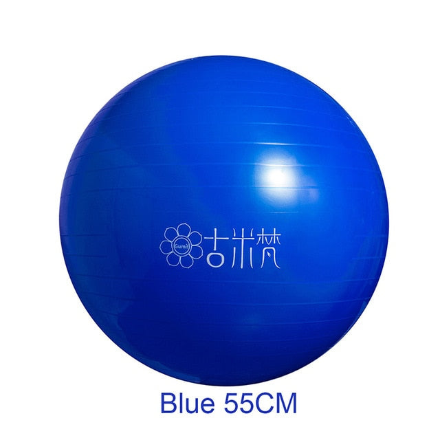 Sports Yoga Balls Bola Pilates / Fitball Exercise  Workout / Massage 55cm 65cm