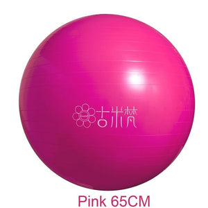 Sports Yoga Balls Bola Pilates / Fitball Exercise  Workout / Massage 55cm 65cm