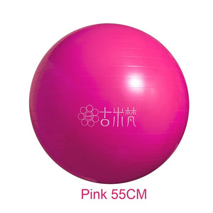 Sports Yoga Balls Bola Pilates / Fitball Exercise  Workout / Massage 55cm 65cm