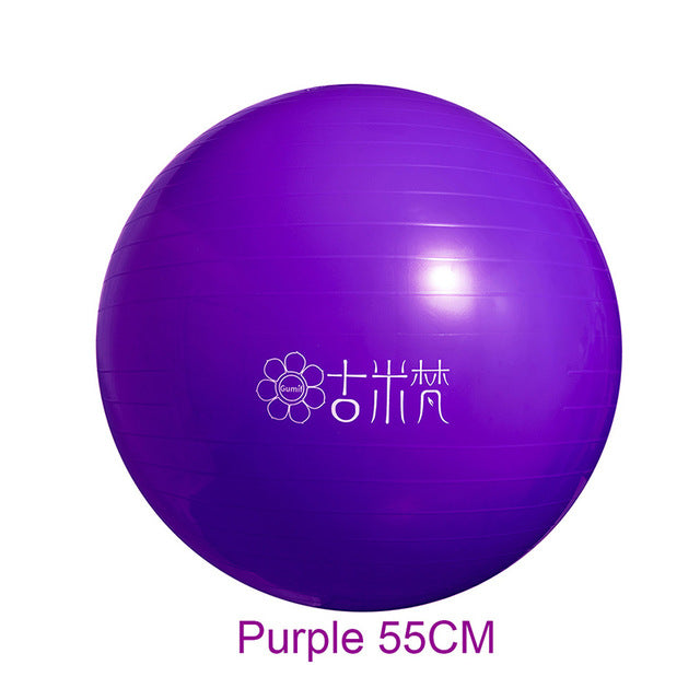 Sports Yoga Balls Bola Pilates / Fitball Exercise  Workout / Massage 55cm 65cm