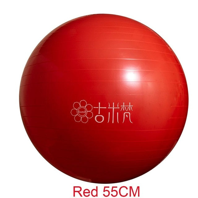 Sports Yoga Balls Bola Pilates / Fitball Exercise  Workout / Massage 55cm 65cm