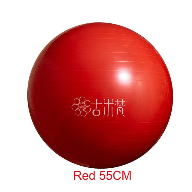 Sports Yoga Balls Bola Pilates / Fitball Exercise  Workout / Massage 55cm 65cm