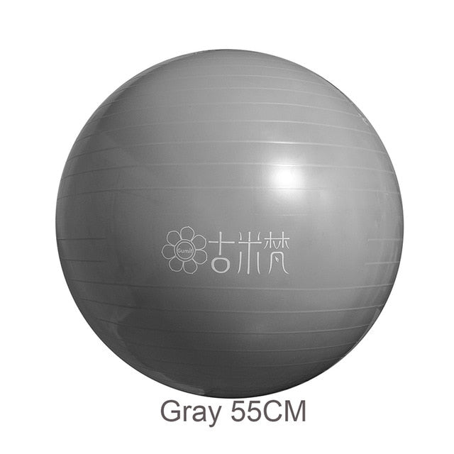 Sports Yoga Balls Bola Pilates / Fitball Exercise  Workout / Massage 55cm 65cm